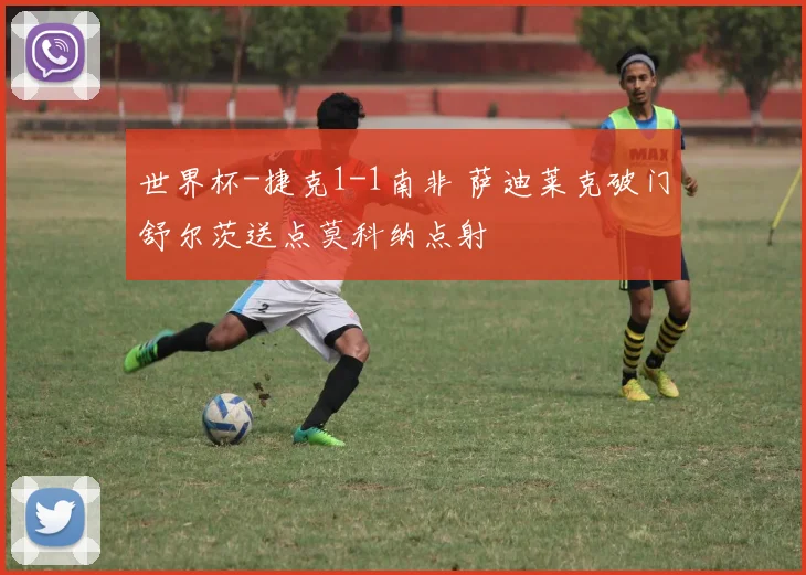 世界杯-捷克1-1南非 萨迪莱克破门舒尔茨送点莫科纳点射
