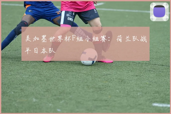 美加墨世界杯F组小组赛：荷兰队战平日本队